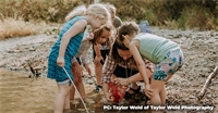EverWild Forest School: A Whole-Child Approach to Education in an Outdoor Classroom