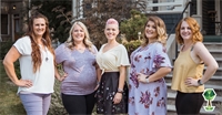 Common Surrogacy Myths Busted by Abundant Life, A Local Boise Surrogacy Agency