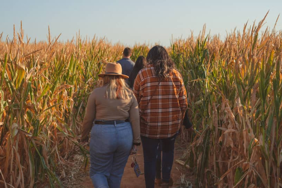 two friends walking side by side in a corn maze
