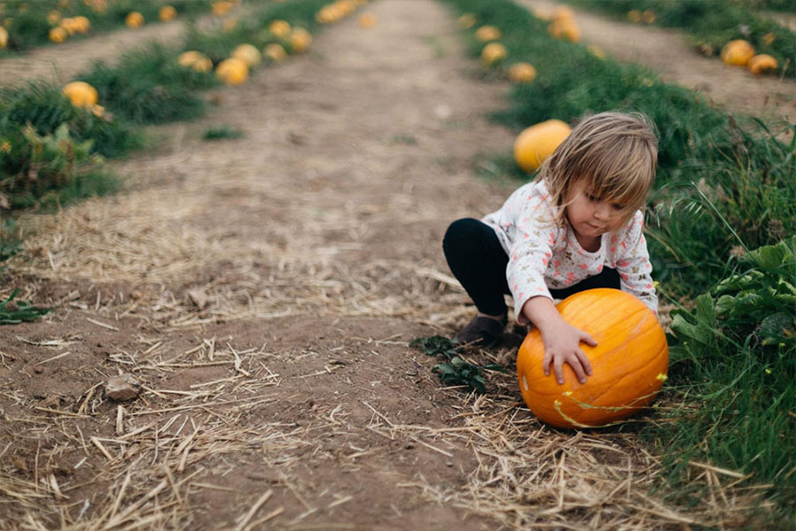 Your Guide to Pumpkin Patches Around Boise | Totally Boise 2021 Fall Mag
