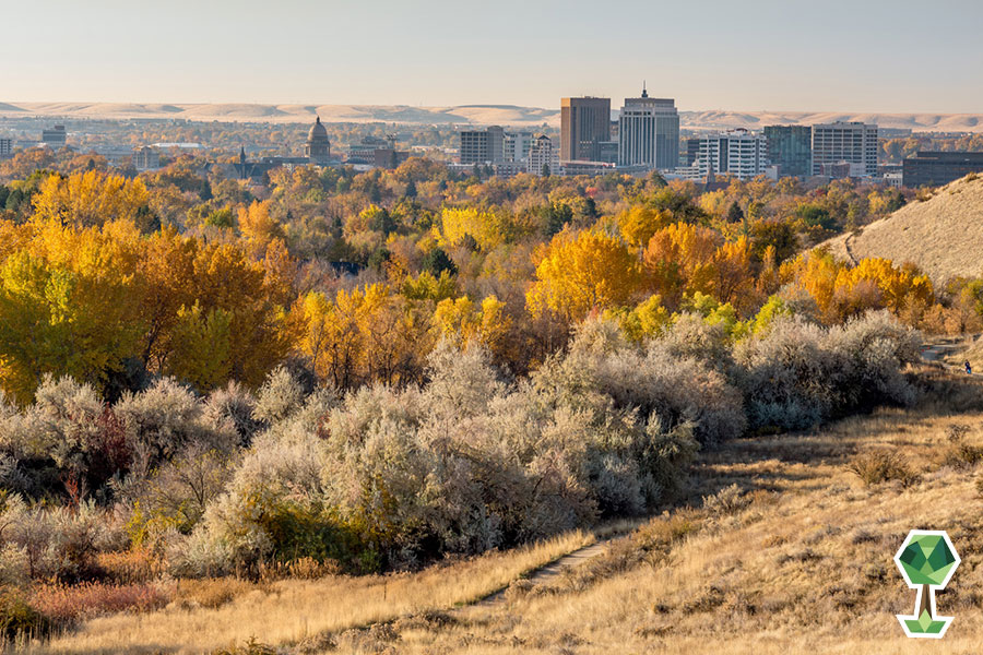 Trails To Hike Through The Trees in Boise