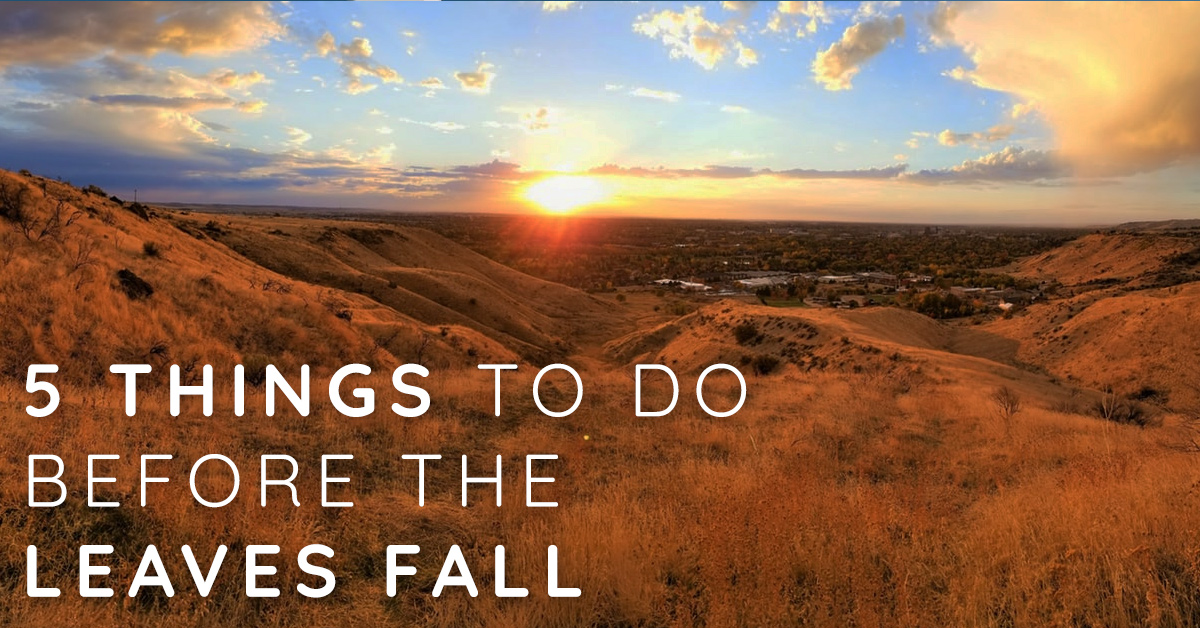 5 Things To Do in Boise Before the Leaves Fall