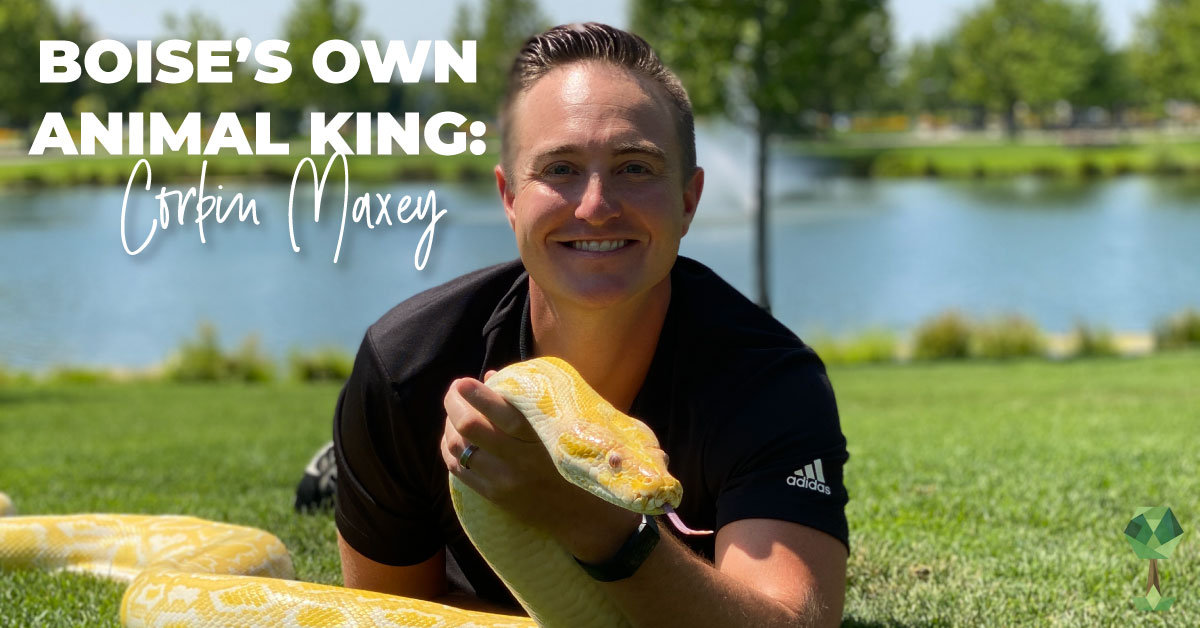 Boise's Own Animal King: Corbin Maxey