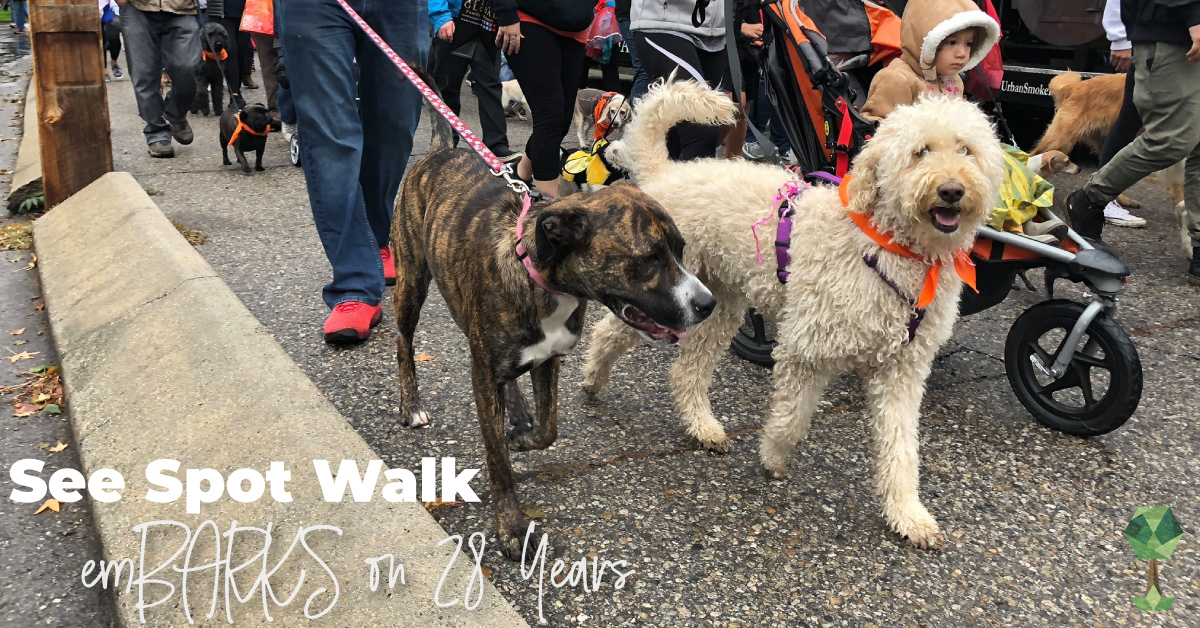 See Spot Walk emBARKS on 28 Years