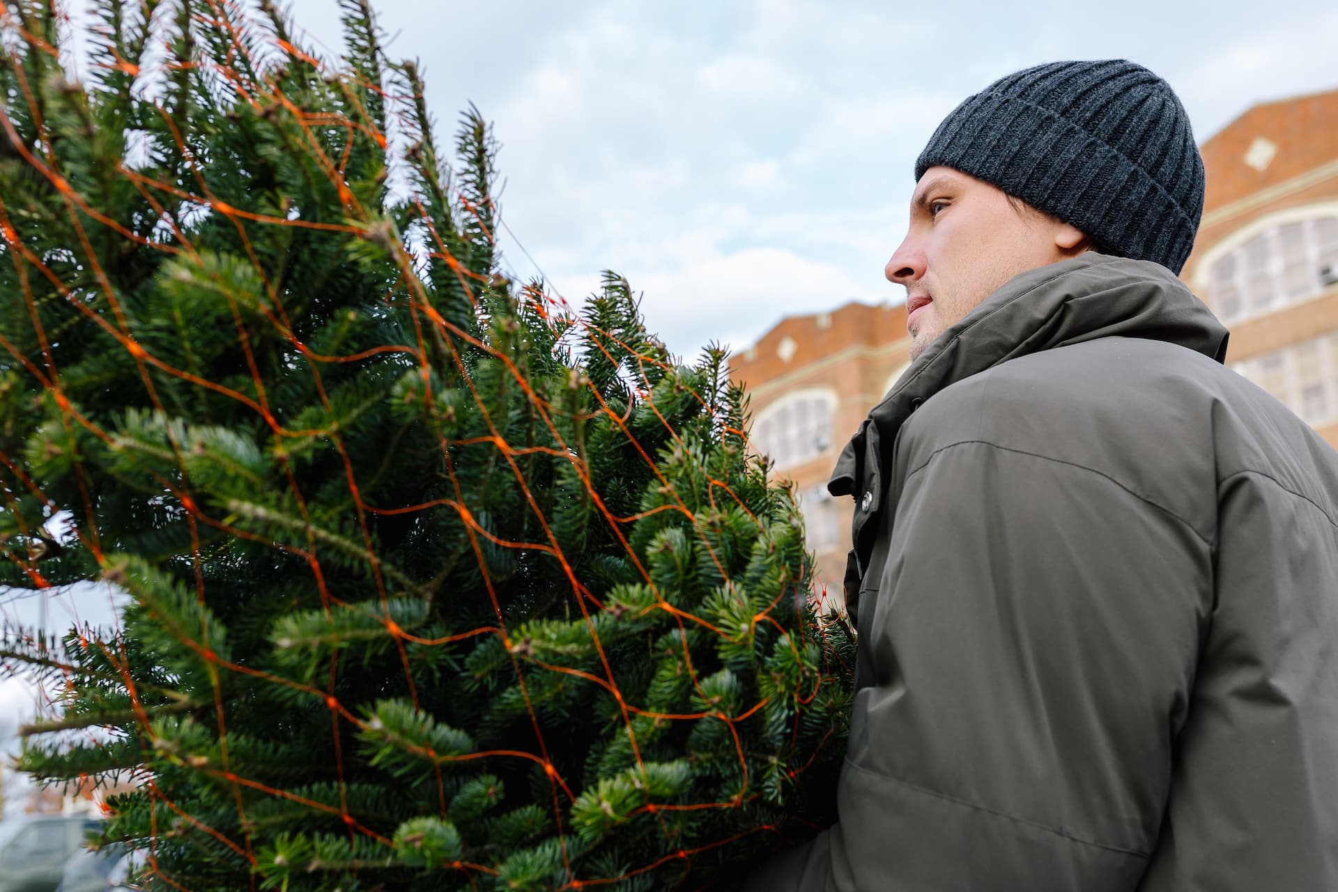 Where To Find A Christmas Tree Lot Near You In The Treasure Valley | Totally Boise