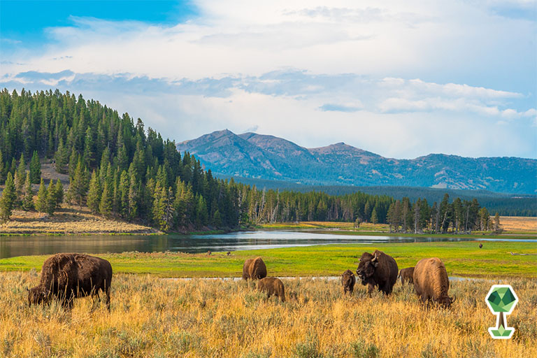The Ultimate Idaho Road Trip | Yellowstone National Park